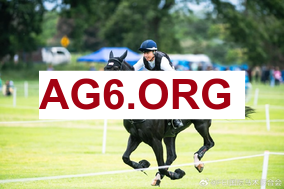 法甲第24轮里尔vs南特全场比赛录像回放2026年3月2日