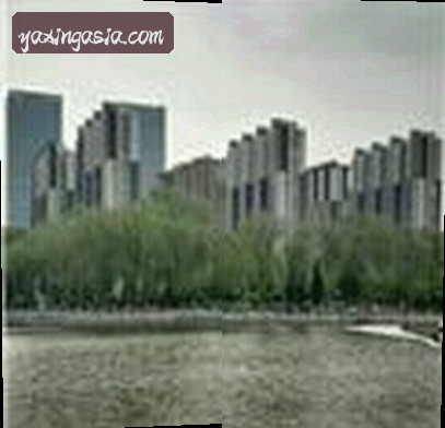 陈航